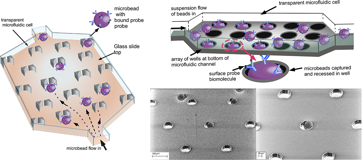 Microbeads